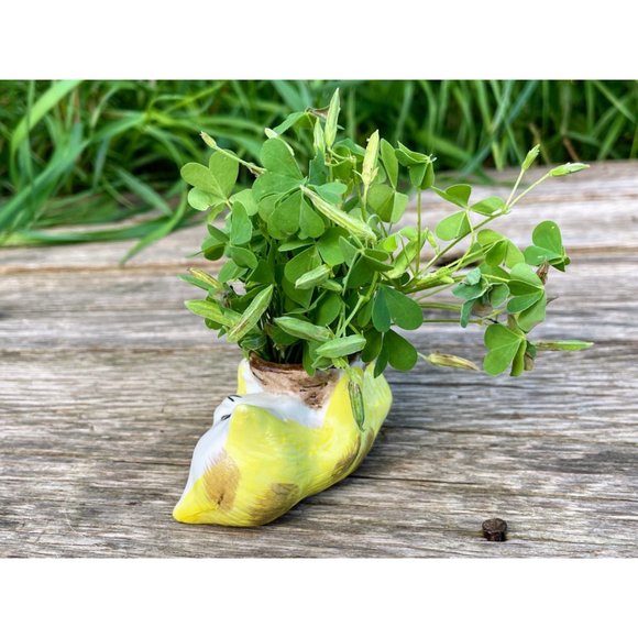 Vintage Bisque Porcelain Small Sad Kitty Cat Planter Vase - Picture 10 of 11